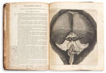 Hooke, Robert (1635-1703) Micrographia Restaurata.